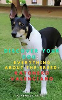 Discover your dog