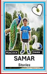 Samar Stories