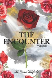 The Encounter
