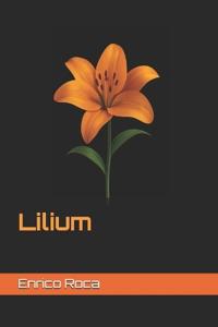 Lilium