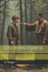 Lost in Wilderness