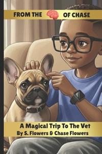 A Magical Trip To The Vet