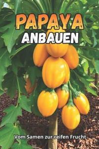 Papaya anbauen