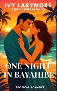 One Night in Bayahibe
