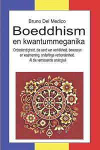 Boeddhisme en kwantummeganika