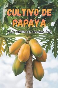 Cultivo de papaya