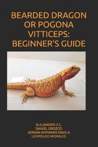 Bearded Dragon or Pogona Vitticeps