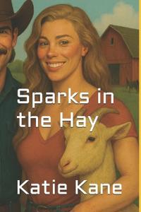 Sparks in the Hay