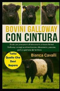 Bovini Galloway Con Cintura