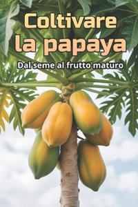 Coltivare la papaya