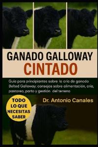 Ganado Galloway Cintado