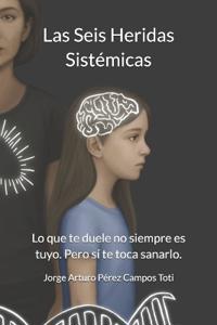 Las Seis Heridas Sistémicas