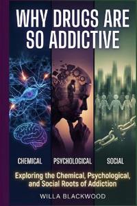 Why Drugs Are So Addictive