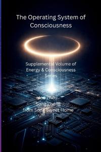 The Operating System of Consciousness