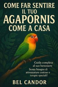 Come Far Sentire Il Tuo Agapornis Come a Casa