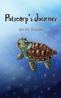 Polycarp's Journey