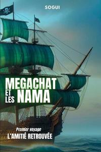 Mégachat et les NAMA