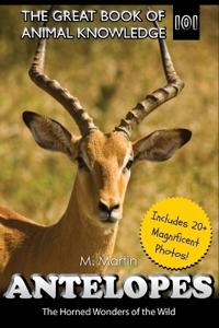 Martin, M: Antelopes