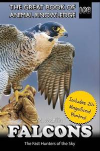 Martin, M: Falcons