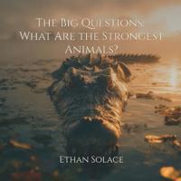 The Big Questions