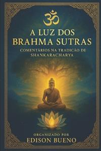 A Luz dos Brahma Sutras