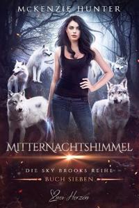 Mitternachtshimmel
