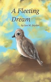Snyder, I: Fleeting Dream
