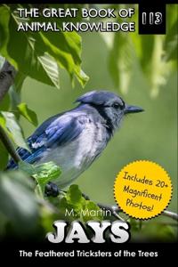 Martin, M: Jays