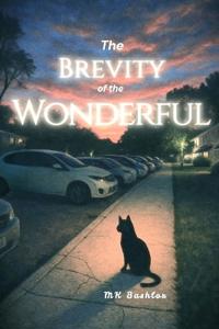 The Brevity of the Wonderful