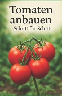 Tomaten anbauen - Schritt für Schritt