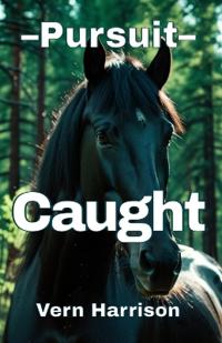 Pursuit. Caught.