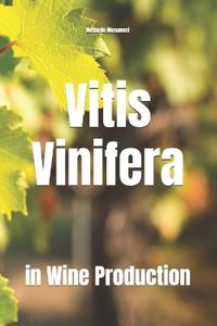 Vitis Vinifera