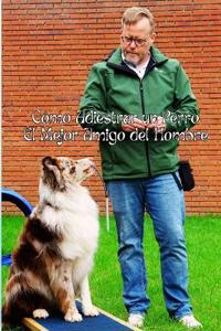 Cómo Adiestrar un Perro