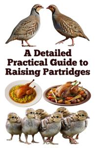 A Detailed Practical Guide to Raising Partridges