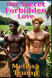 Our Secret Forbidden Love