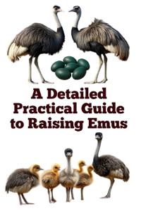 A Detailed Practical Guide to Raising Emus