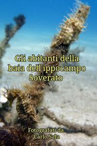 Gli abitanti della baia dell'ippocampo Soverato