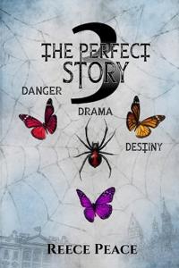 The Perfect Story 3