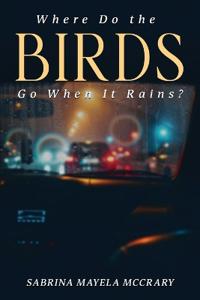 Bokomslag för "Where Do the Birds Go When It Rains?"