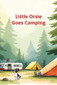 Little Orsie Goes Camping