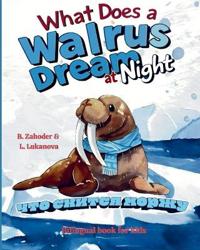 What does a walrus dream at night