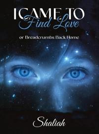 Bokomslag for "I Came to Find Love"