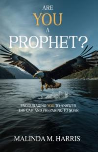 Bokomslag for "Are You a Prophet?"