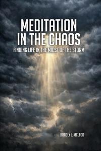 Bokomslag for "Meditation In The Chaos"