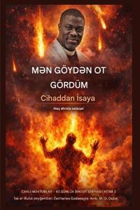 Göyd?n od gördüm