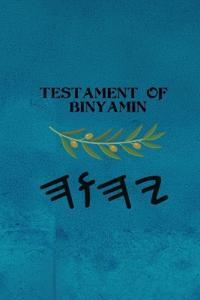 Testament of Binyamin