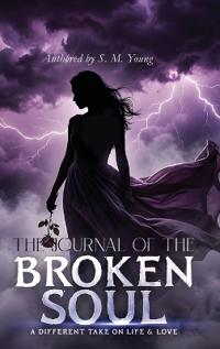 The Journal Of The Broken Soul
