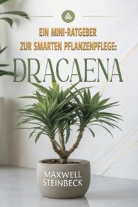 Ein Mini-Ratgeber zur smarten Pflanzenpflege