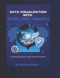 Data visualization with excel and tableaU