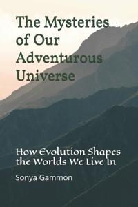 The Mysteries of Our Adventurous Universe